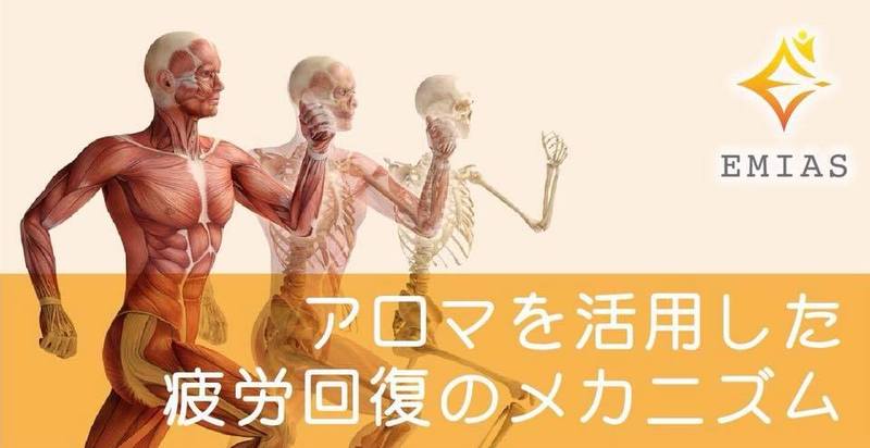 アロマを活用した疲労回復のメカニズム