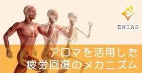 アロマを活用した疲労回復のメカニズム