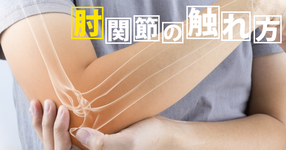 肘関節の触れ方  ～臨床での基本的な評価方法～