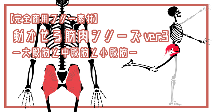 【完全商用フリー素材】動かせる筋肉シリーズver.3ー大殿筋と中殿筋と小殿筋ー