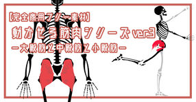 【完全商用フリー素材】動かせる筋肉シリーズver.3ー大殿筋と中殿筋と小殿筋ー