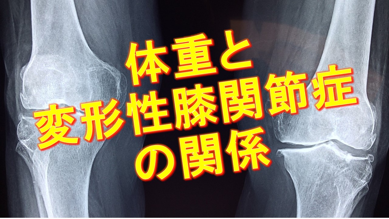 体重を10%減らすと、膝の痛みが50％軽減する
