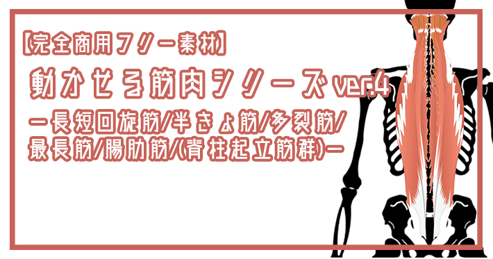 【完全商用フリー素材】動かせる筋肉シリーズver.4ー長短回旋筋/半棘筋/多裂筋/最長筋/腸肋筋/(脊柱起立筋群)ー