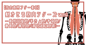 【完全商用フリー素材】動かせる筋肉シリーズver.4ー長短回旋筋/半棘筋/多裂筋/最長筋/腸肋筋/(脊柱起立筋群)ー