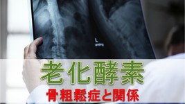 老化に関連する酵素　骨粗鬆症と関係