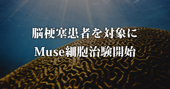 脳梗塞患者を対象に Muse細胞治験開始