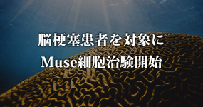 脳梗塞患者を対象に Muse細胞治験開始