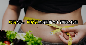 肥満だと糖尿病の前段階でも腎臓に負担｜大阪市立大学