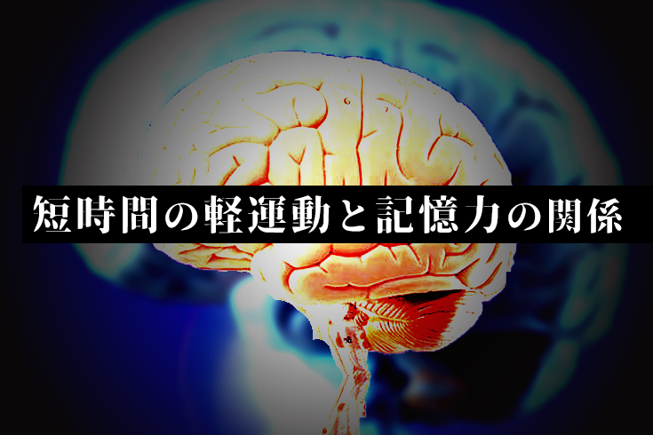 軽い運動で記憶力が高まる脳活動のメカニズムを解明