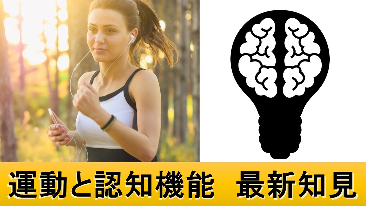 運動をすると認知機能が良くなる理由|