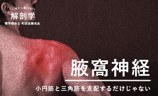  【1ヶ月基礎医学講座】10日目腋窩神経