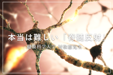  【1ヶ月基礎医学講座】12日目脊髄反射ー生理学編ー