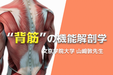 【1ヶ月基礎医学講座】20日目背筋ー運動学編ー