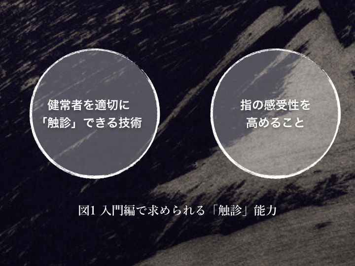 【1ヶ月基礎医学講座】26日目触診の入門は筋膜からー触診編ー