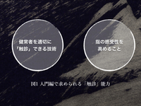 【1ヶ月基礎医学講座】26日目触診の入門は筋膜からー触診編ー