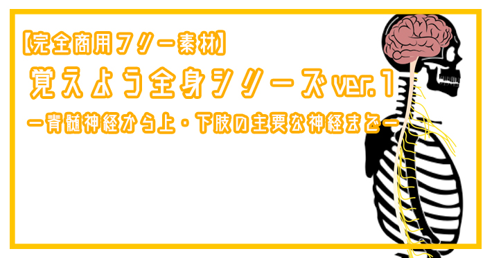 【完全商用フリー素材】使いながら覚えるフリー素材ー神経編ー＃2