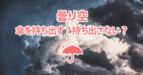 意思決定の脳内機構とばらつき　内側前頭皮質が関与