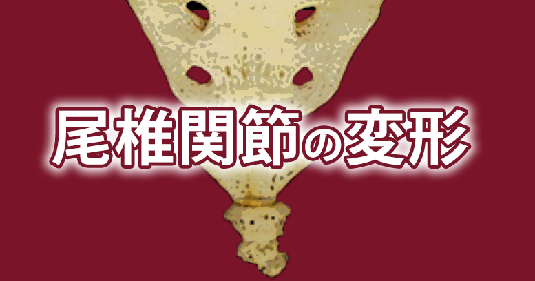 尾骨周囲の痛みのメカニズム