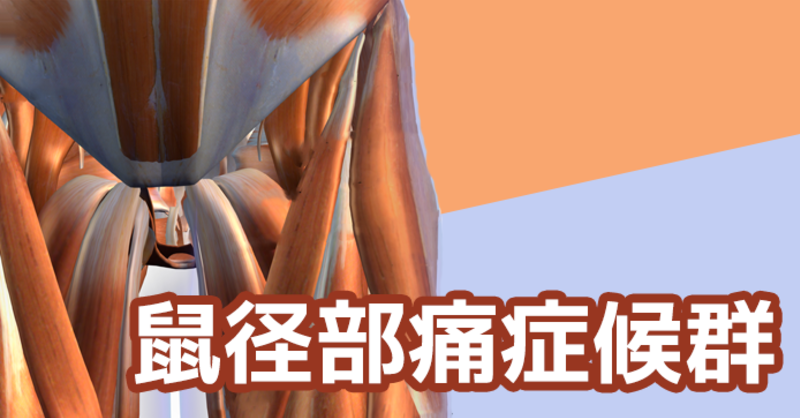 鼠径部痛発症の概念図 | 理学療法士・作業療法士・言語聴覚士の求人
