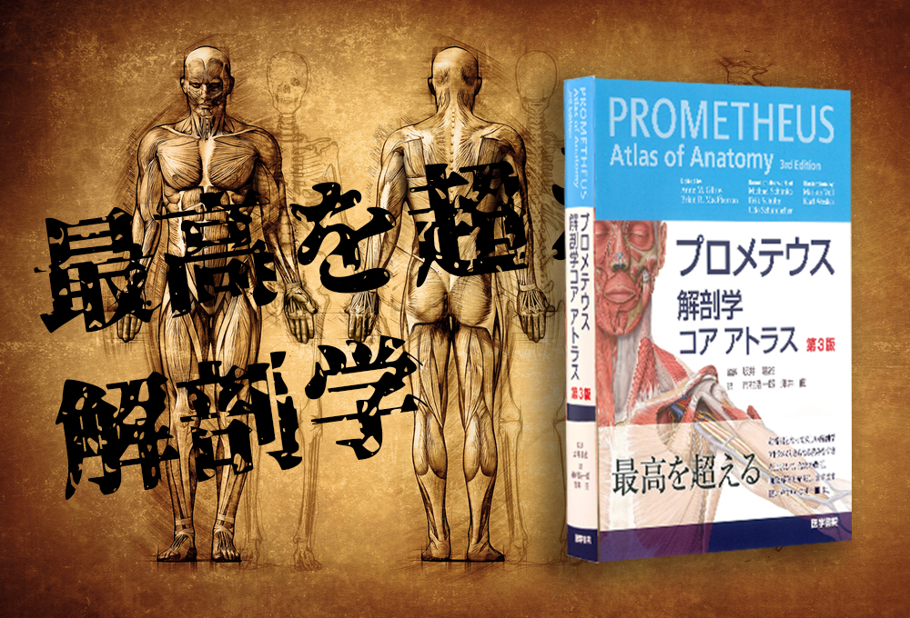 【書評】最高を超える解剖学*立ち読み可能