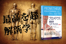 【書評】最高を超える解剖学＊立ち読み可能