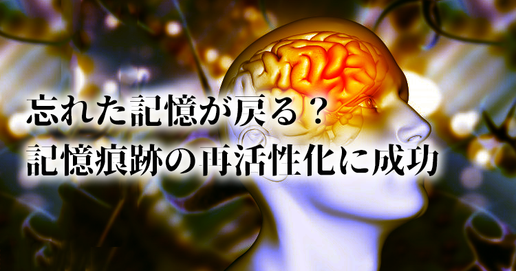 記憶をスムーズに思い出すことができる薬が発見