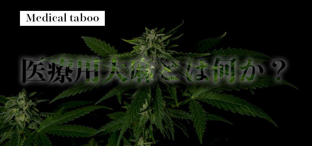 【Medical taboo】医療用大麻とは何か？-序章-