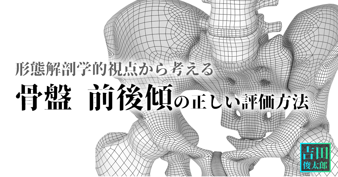 形態解剖学的視点から考える【骨盤 前後傾】の正しい評価方法|吉田俊太郎