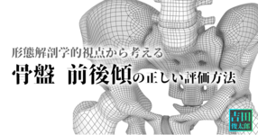 形態解剖学的視点から考える【骨盤 前後傾】の正しい評価方法｜吉田俊太郎 