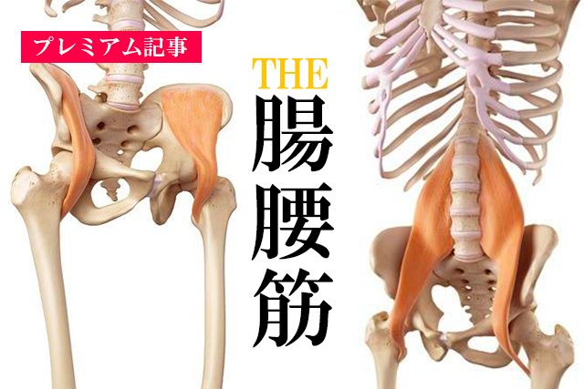 【プレミアム】THE腸腰筋ー大腰筋ー