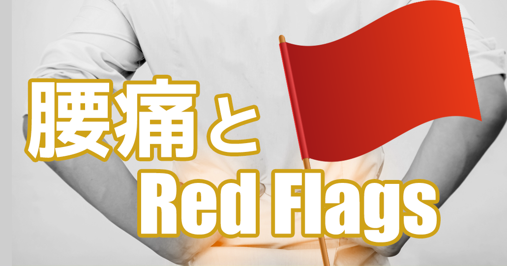 腰痛とRed Flags② ~馬尾症候群と腹部大動脈瘤~