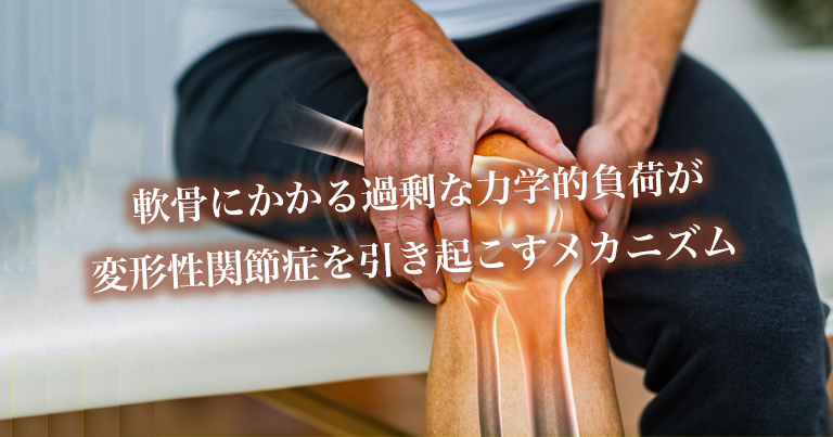 変形性関節症と軟骨にかかる力学的負荷の関連性｜AMED