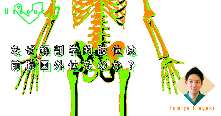 【運動器7】なぜ解剖学的肢位は前腕回外位なのか？