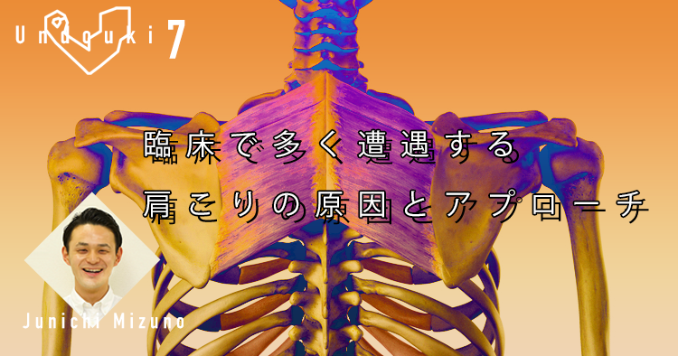 【運動器7】『臨床で多く遭遇する肩こりの原因とアプローチ』