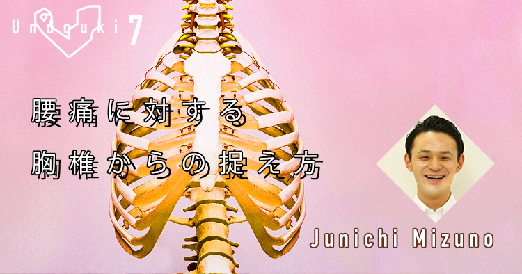 【運動器7】腰痛に対する胸椎からの捉え方