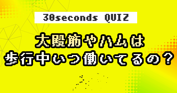 【クイズ】大殿筋やハムは、歩行中いつ働いてるの？