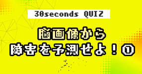 【クイズ】脳画像から障害を予測せよ！［初級編］
