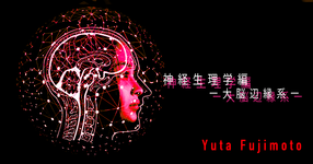 【SPOT Writer】基礎医学シリーズ神経生理学編ー大脳辺縁系ー
