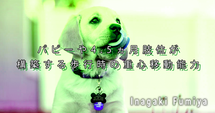 【SPOT Writer】パピーや4.5ヵ月肢位が構築する歩行時の重心移動能力