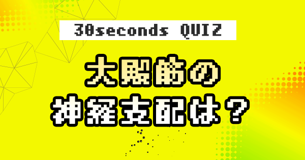 【クイズ】大殿筋の神経支配は?