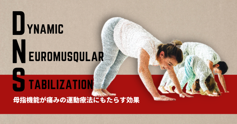 DNSアプローチ】母指機能が痛みの運動療法にもたらす効果 | 理学療法士