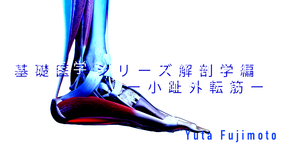 【SPOT Writer】基礎医学シリーズ解剖学編ー小趾外転筋ー