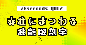 【クイズ】椎体・脊柱にまつわる機能解剖学