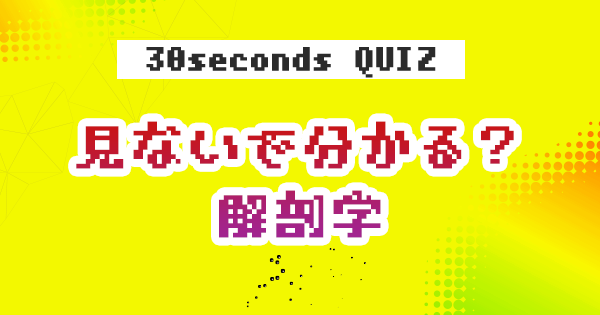【クイズ】見ないで分かる?解剖学