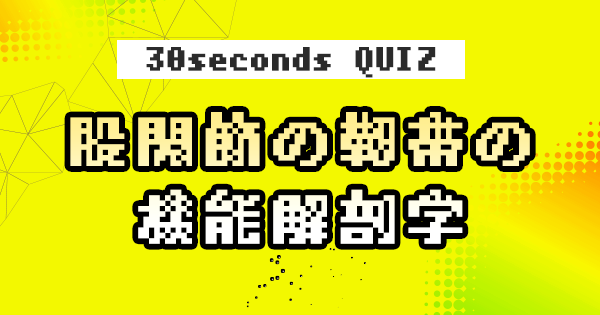 【クイズ】股関節の靭帯の機能解剖学!