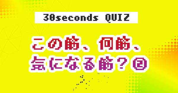 【クイズ】この筋、何筋、気になる筋?②