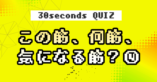 【クイズ】この筋、何筋、気になる筋？④