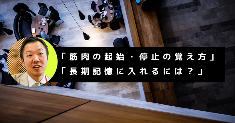 【メモリードリブン】学生からの質問 -「筋肉の起始・停止の覚え方」「長期記憶に入れるには？」-