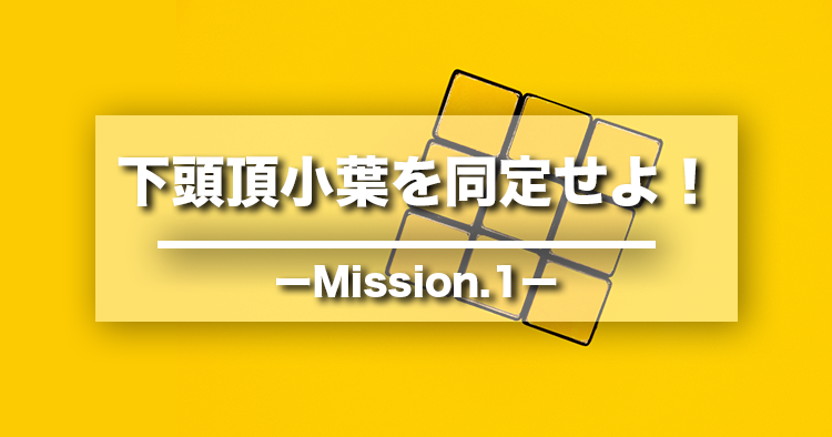 【クイズ】下頭頂小葉を同定せよ!