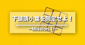 【クイズ】下頭頂小葉を同定せよ！